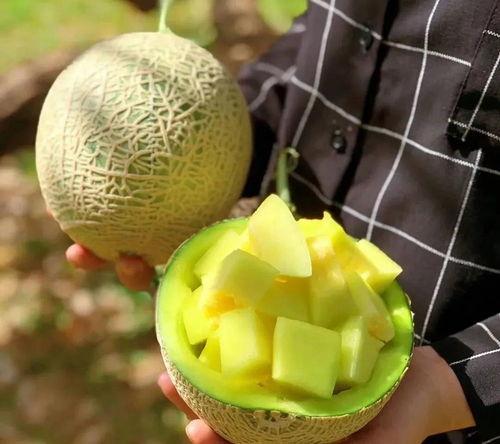 娱乐吃瓜酱的瓜,吃瓜酱带你探秘明星幕后故事