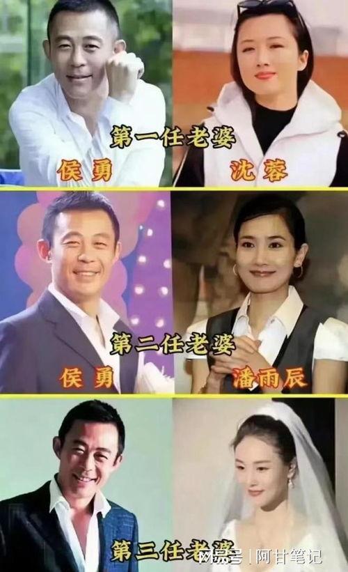 娱乐圈吃瓜指南明星代称,明星代称背后的秘密与趣味