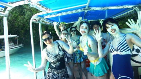 娱乐吃瓜君大象