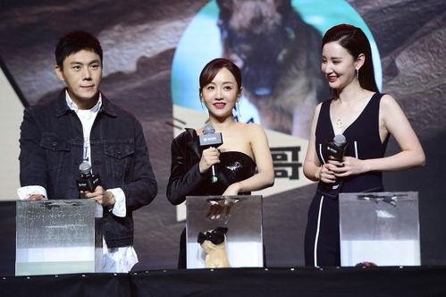 娱乐圈吃瓜汇总小说,揭秘明星背后的秘密与八卦