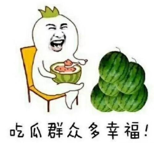 娱乐圈有什么瓜吃